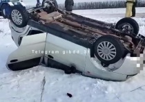 Серьезное ДТП произошло 28 декабря на трассе «Губкин-Аверино-Архангельское-Никаноровка-Ольховатка»