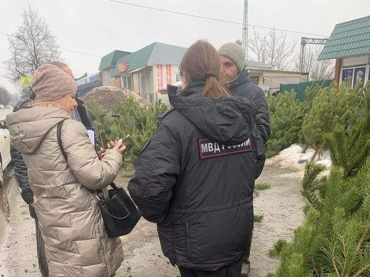 В Курске пресекли несанкционированную торговлю новогодними соснами