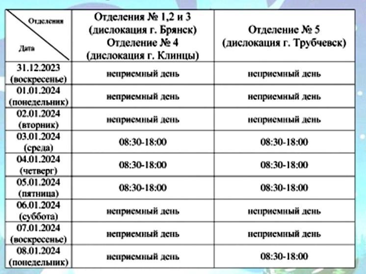 График работы ГИБДД в Брянской области на новогодних праздниках изменится