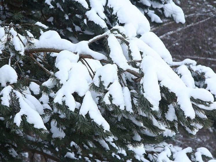 Синоптик Вильфанд спрогнозировал морозы на Рождество в Москве