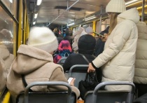 В Екатеринбурге рассматривают вариант появления второго трамвайного маршрута в Академический район города