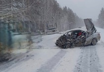 Днем 29 декабря на 321 километре трассы Екатеринбург – Шадринск – Курган в Каргапольском округе произошла смертельная авария