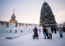 29 декабря в Екатеринбурге на площади 1905 года открылся главный ледовый городок города