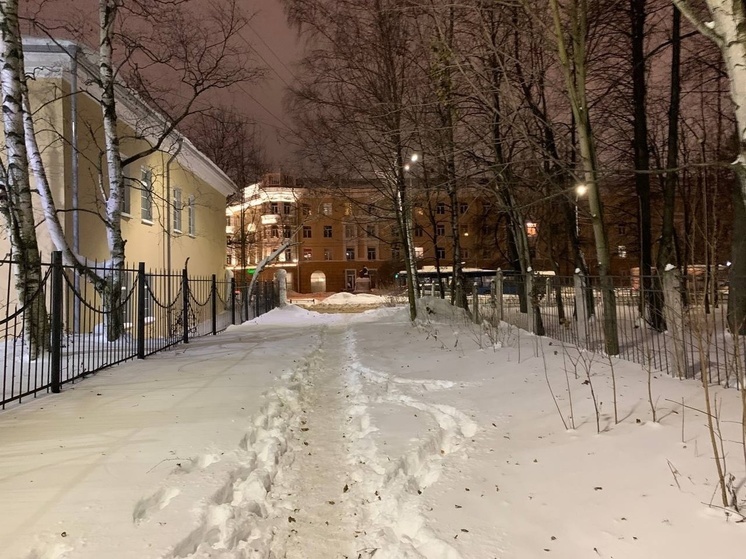 Бесхозная территория обнаружилась в центре Петрозаводска