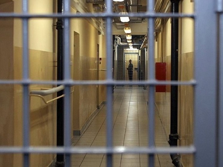 Задержанный в Чухломском районе "курьер" телефонных аферистов будет дожидаться суда в СИЗО