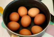 Российское правительство приняло решение о беспошлинном импорте яиц в страну с 1 января по 30 июня 2024 года