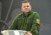 Внештатный советник главнокомандующего Вооруженных сил Украины Алла Мартынюк отстранена от этой должности