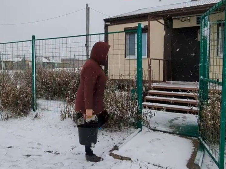 Астраханские медики 3 года таскают воду ведрами из своих домов для ФАПа