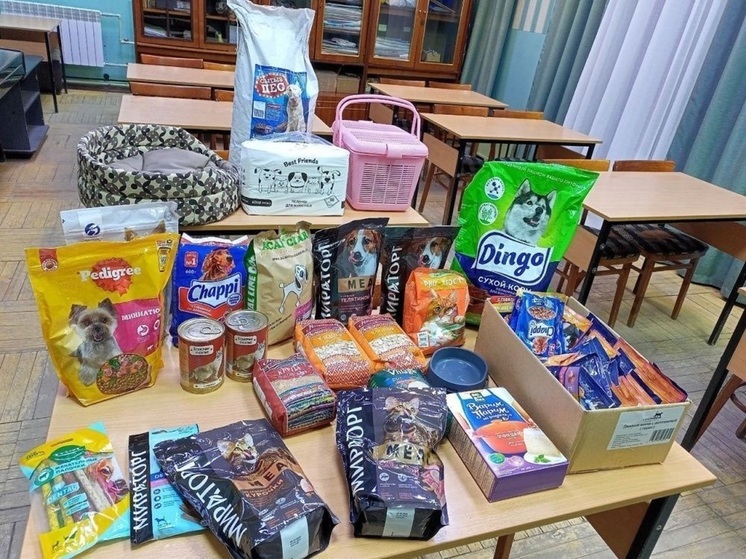 Кировчане собрали помощь для бездомных животных