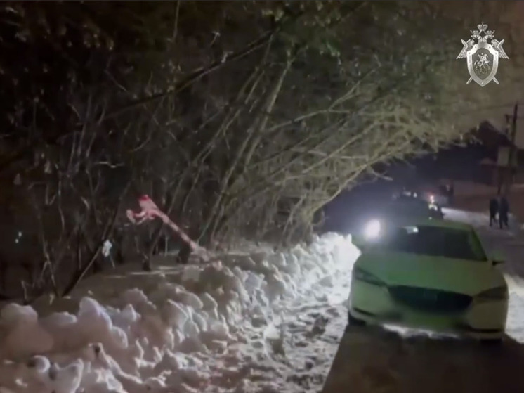 Подробности обнаружения тела отца Легойды со ссылкой на источник в правоохранительных органах опубликовали в RT.