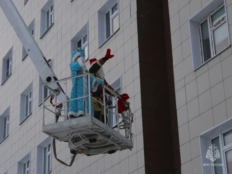В Ярославле для тяжело больных детей спасатели устроили новогоднее чудо