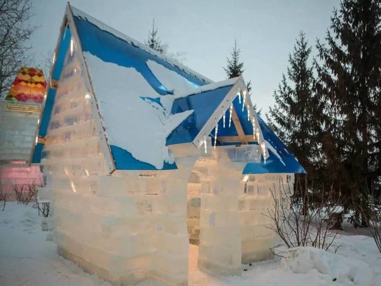 В Новосибирске на Михайловской набережной открылся платный ледовый городок
