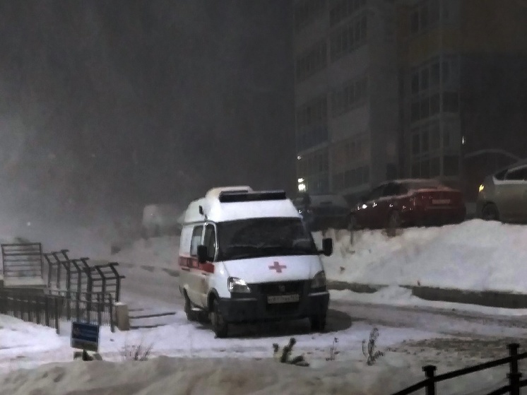 В Красноярске 3-летний мальчик умер в машине скорой помощи
