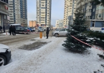 Главк СКР по Самарской области сообщил, что в Самаре накануне на улице Ново-Садовой у одного из домов жилого комплекса "Бриг" были обнаружены тела 29-летнего мужчины и 30-летней женщины