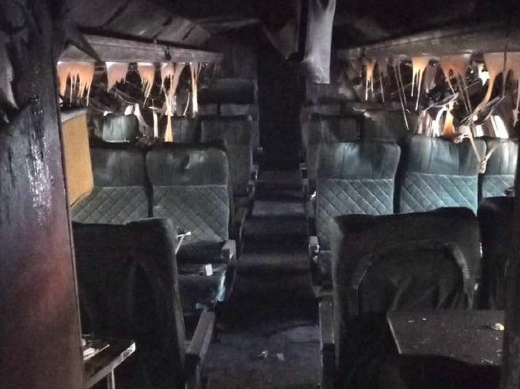 Администрация зоопарка показала сгоревший макет самолета в Чите