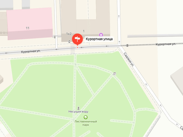 Курортную улицу Светлогорска превратили в пешеходную