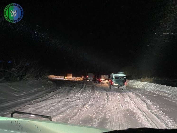 Жители Шурышкарского района выехали на закрытый зимник и попали в снежный плен