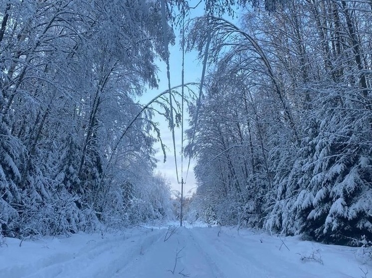 В Костромской области прогнозируется резкое похолодание