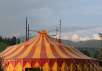 В немецком городе Висбаден произошла драка между зооактивистами и сотрудниками цирка