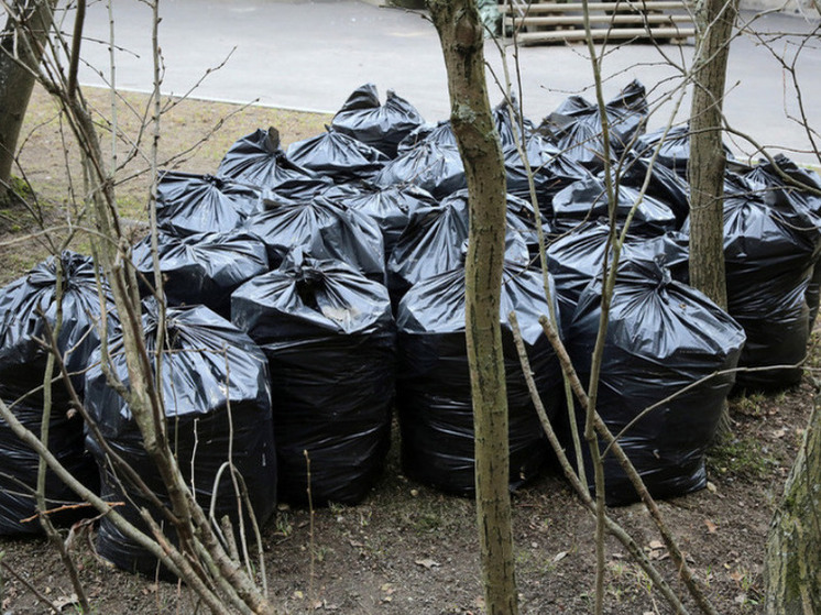 Калининградцам рассказали, куда звонить с жалобами на вывоз мусора в праздники