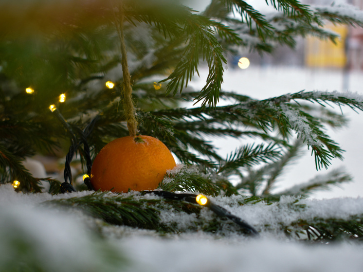 В Туле 31 декабря прогнозируют сильный мокрый снег и гололедицу