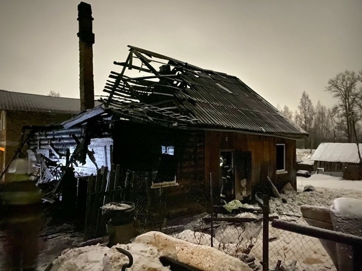 В Тверской области мужчина сгорел в своем доме