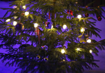 На новогодней елке в одной из школ Алматы мама первоклассника устроила скандал в самый разгар праздника