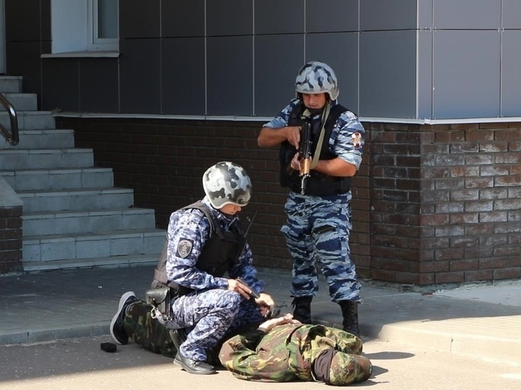 Владимирские росгвардейцы изъяли у преступников 20 кг запрещенки