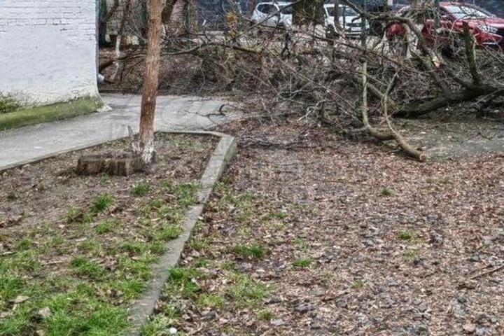 В Ростове около месяца не могут убрать поваленные во время непогоды деревья