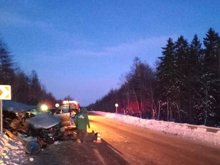 В Ногликском районе в страшном ДТП погибли три человека
