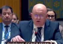 Российскую делегацию удивила невнятная и безликая реакция руководства ООН на атаку ВСУ по Белгороду