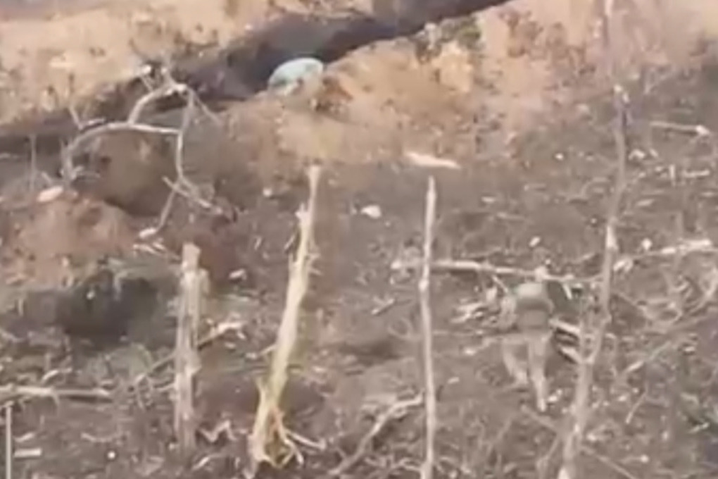 The UAV captured footage of the execution of fleeing Ukrainian Armed Forces soldiers by the Ukrainian barrier detachment