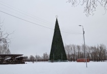 Мэр Красноярска Владислав Логинов заявил, что празднование Нового года в городе пройдет «сдержано»