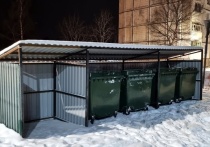 Автомобилистов Североморска попросили не парковать транспортные средства рядом и на подъезде к контейнерным площадкам во время новогодних праздников