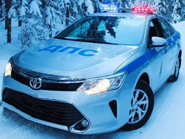 В Холмогорском районе началась акция «Безопасные дороги»