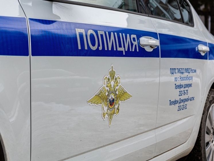 В Новосибирской области полицейские ночью на трассе спасли семью с двумя детьми