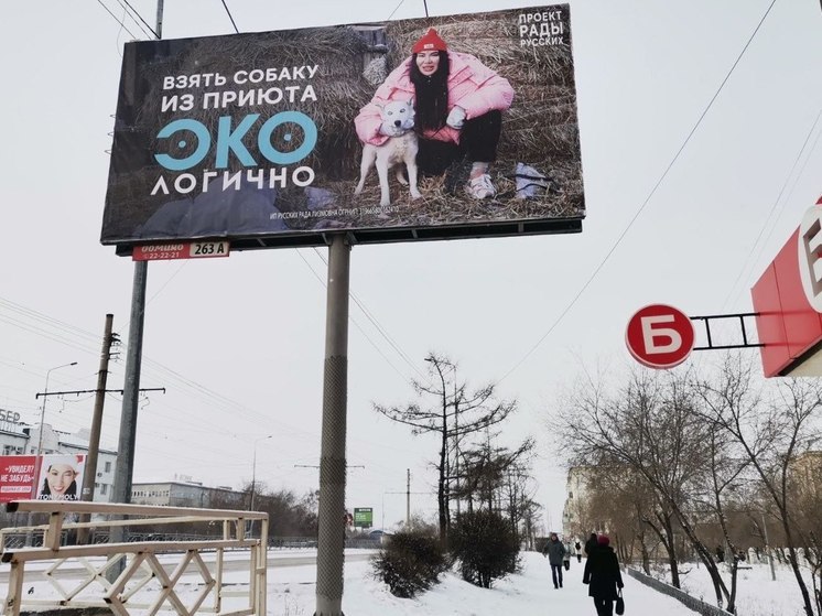 В Улан-Удэ появились билборды с изображением бьюти-блогершы Рады Русских