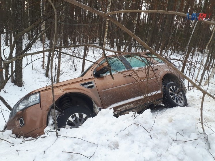 1 января под Рязанью автомобиль Land Rover вылетел в кювет