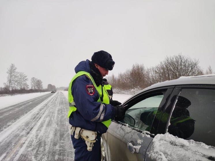 Трассу Екатеринбург – Шадринск – Курган занесло снегом