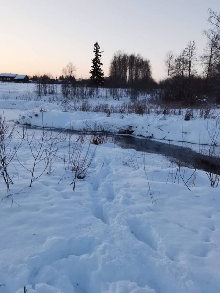 Тело утонувшей в Тверской области девочки найдено
