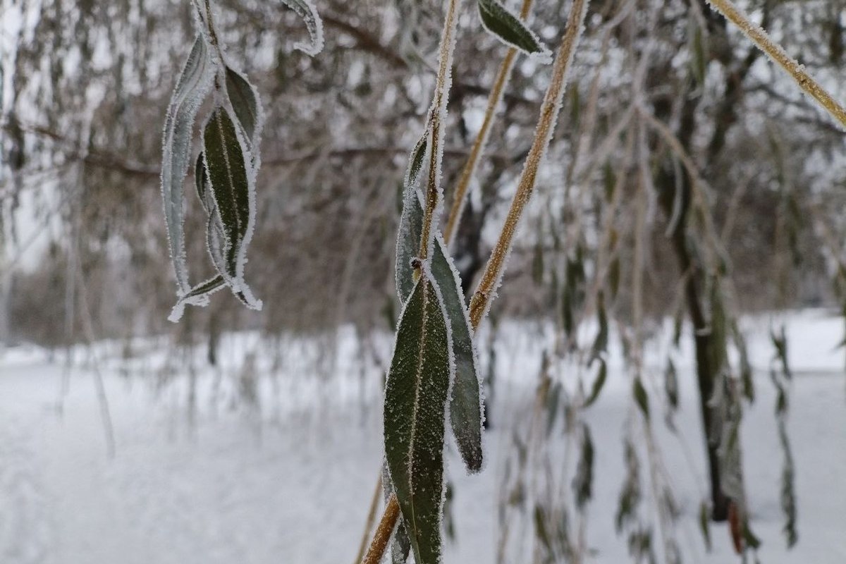 Утром 1 января Петербург обновил рекорд зимы с температурой в -18,3 градуса