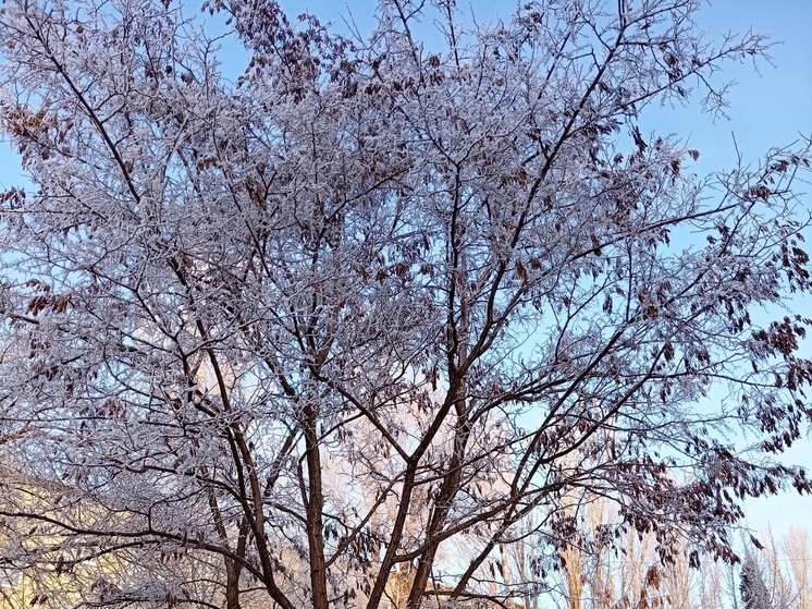 Сила магнитной бури 2 января составит 3 балла