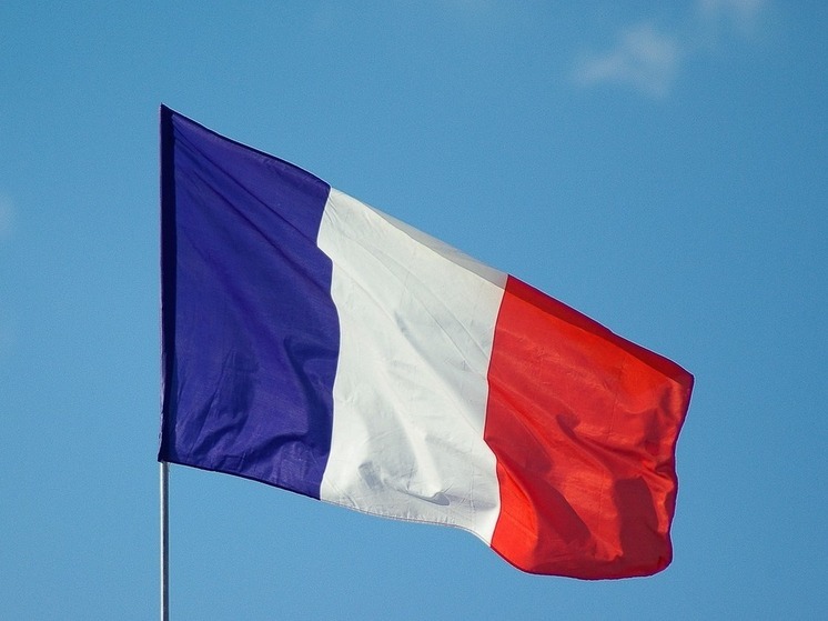 Филиппо: Макрон осквернил флаг Франции во время обращения в Новый год
