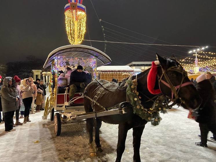 В Ессентуках детей в новогодние праздники катает конь Добрыня