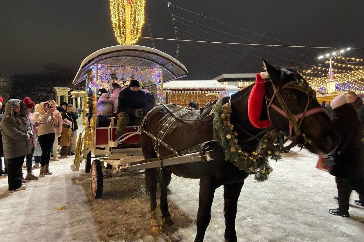 В Ессентуках детей в новогодние праздники катает конь Добрыня