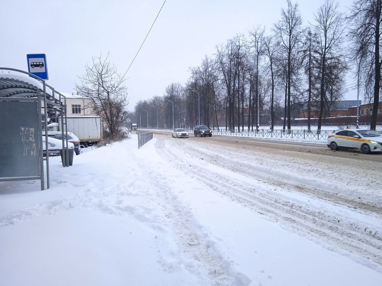 Сильные морозы пришли в Подмосковье