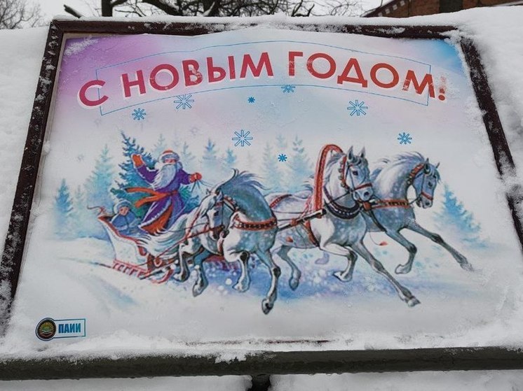 Пензенцы 1 января собрались у костра на Олимпийской аллее
