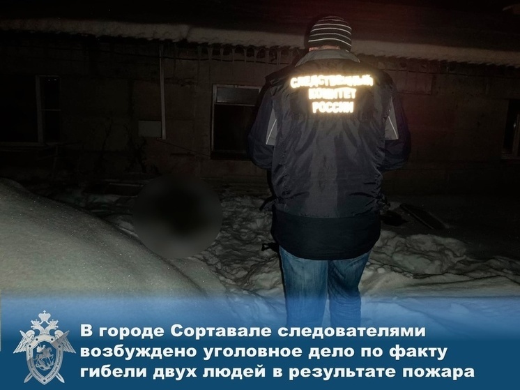 Следком Карелии возбудил дело о гибели двух людей на пожаре в Сортавала