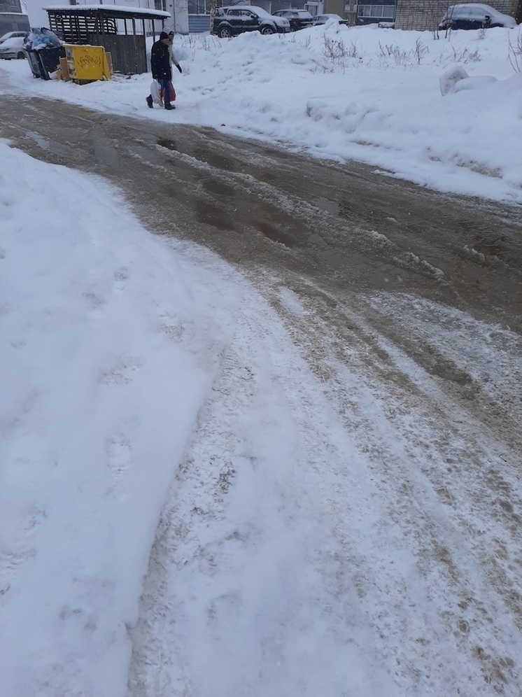 Вонючий ручей отравляет начало года жителям Ключевой в Петрозаводске