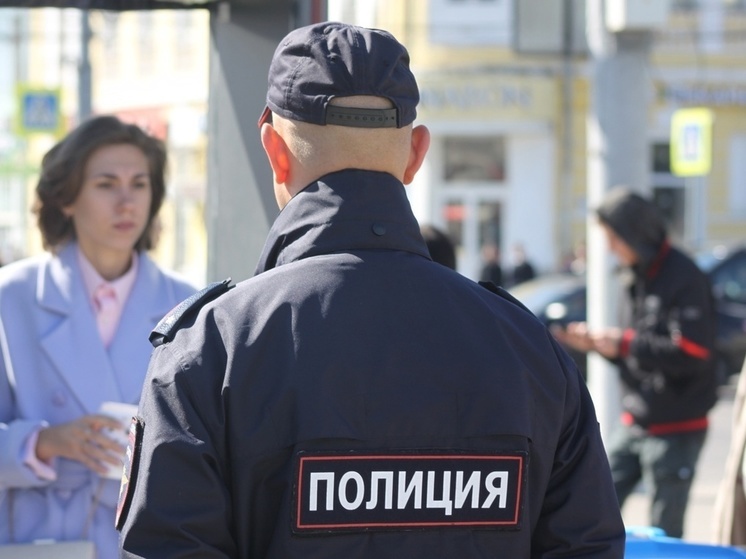 Полиция рассказала тулякам о работе в новогоднюю ночь